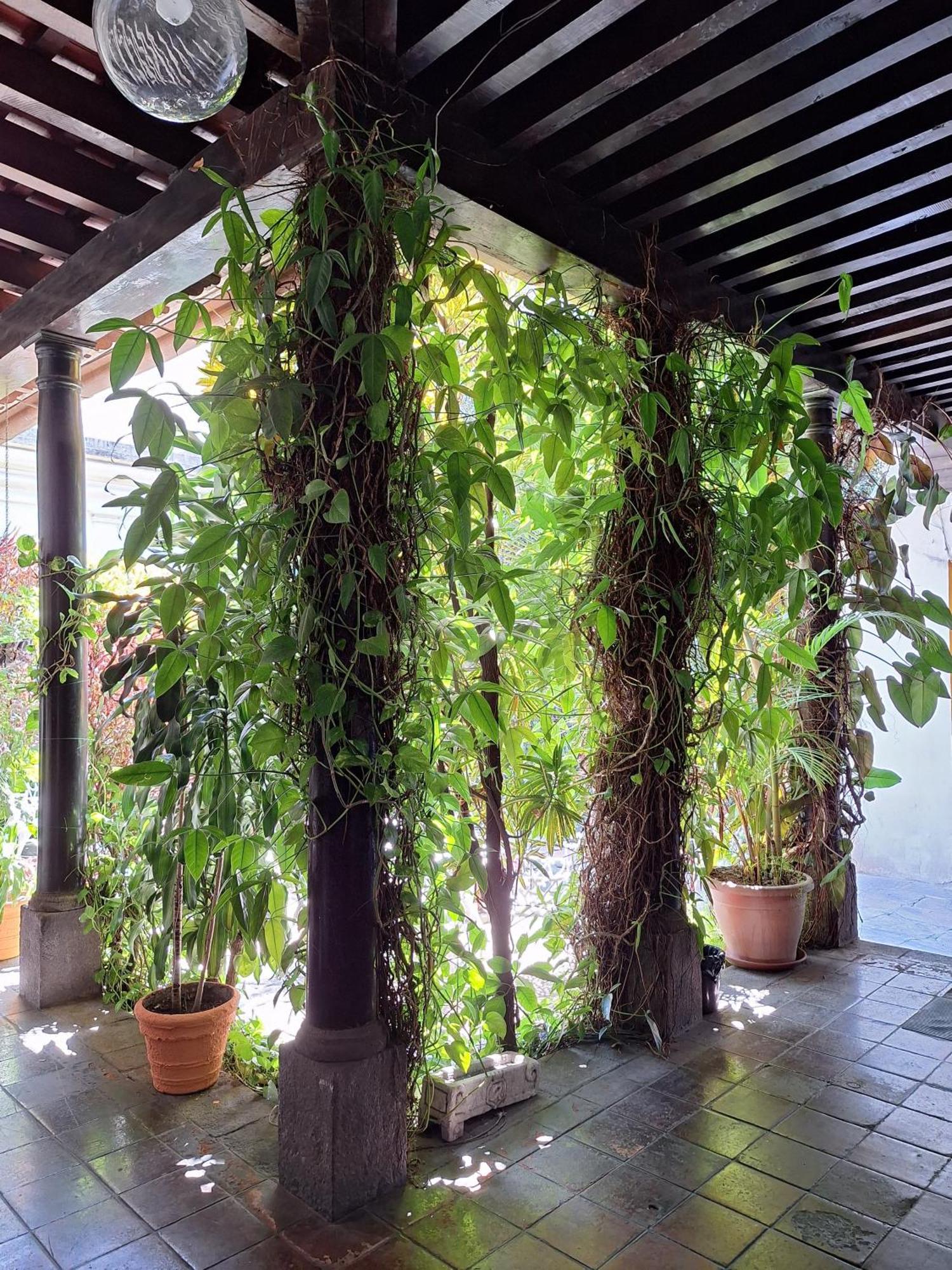 Hotel Spring Guatemala Dış mekan fotoğraf